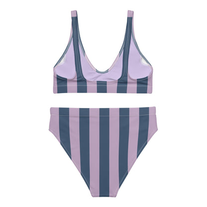 Navy Blue & Violet Striped High-Waisted Bikini Set